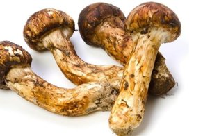 Самые дорогие продукты на планете за 2017 год