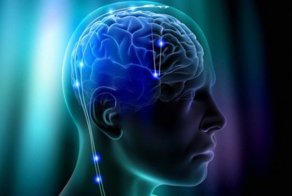 10 способов, которые помогут работе мозга