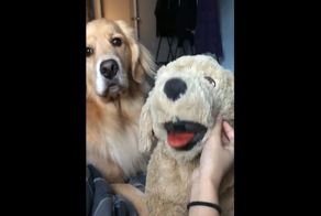 В этом доме будет жить только одна хорошая девочка!