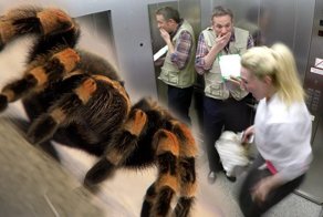 20 улётных гифок с действительно смешными розыгрышами