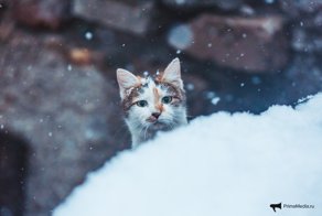 Владивосток парализовало после удара стихии 17 ноября. Фоторепортаж