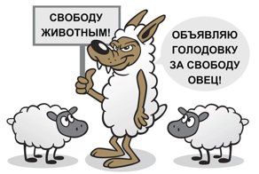 Не защитники животных, а волки в овечьей шкуре