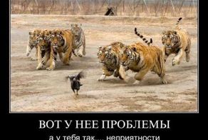 Свежая подборка демотиваторов, которые поднимут вам настроение