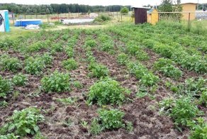 Как я строил баню