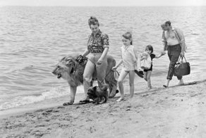 Берберовы: трагедия 1980 года. Члены семьи и домашние питомцы