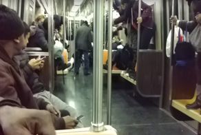 Крыса в вагоне нью-йоркского метро вызвала панику у пассажиров