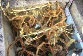 "Что за чёрт?" 20 случаев, когда интернет помог людям прояснить ситуацию. Часть 2