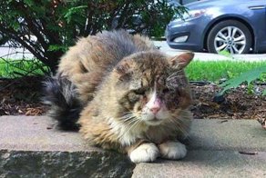 Этот взгляд разбил сердце девушке