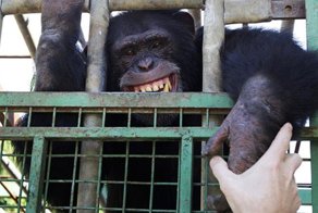 Приключения в зоопарке