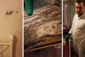 Тысячи клопов заселили кровать британской парочки за шесть лет