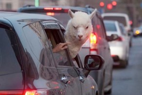 Мания преследования - вовсе не мания