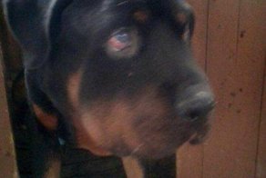 Один в пустой квартире