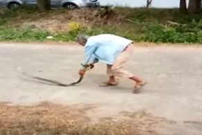 Тайская  бабушка разобралась со змеей, которая заползла в её дом