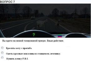 Гордый "воин"