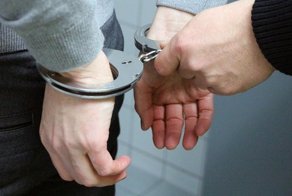 Педофил из Татарстана совратил почти сто детей