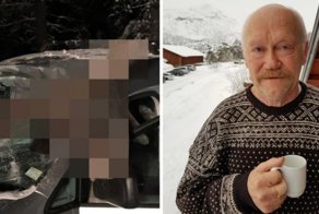 В Норвегии лось влетел в салон автомобиля