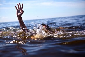 В Средиземном море разбушевались акулы-людоеды