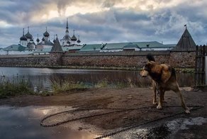 Архипелаг недоверия