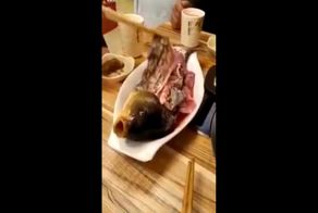 Китайские гурманы лакомятся  еще живыми морскими обитателями