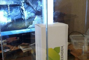 Формикартй- дом для муравьёв