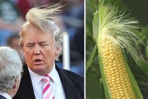 Что вдохновляет людей на дикие наряды и прически