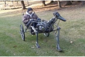  Самодельная прогулочная карета как постоянный спонсор инфаркта соседей 