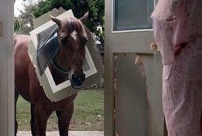 У вас плохой день? Поверьте, у этих 16 людей всё гораздо хуже