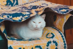 Разности - подборка фото