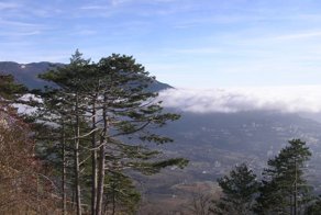 Большое путешествие по Крыму