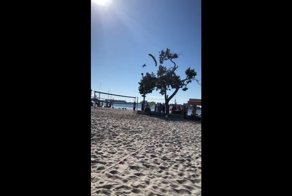 Американец в костюме Санты на парашюте врезался в дерево и сломал ногу