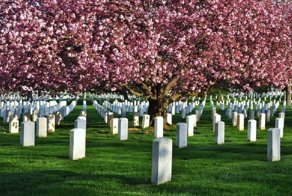 Самые красивые кладбища мира