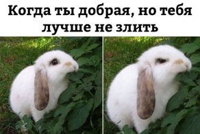 Очередная порция картинок с подписями