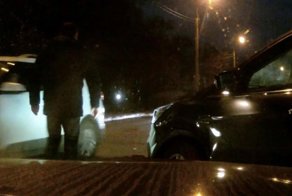 А дамочка права, стоило немного притормозить