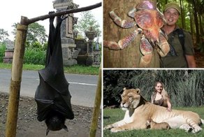 Крупнейшие существа, которые выглядят почти нереально