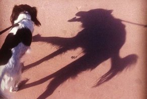 Фотографии, от которых невозможно оторвать взгляд