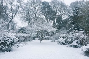 Из-за сильнейшего снегопада в Великобритании закрыли сотни школ