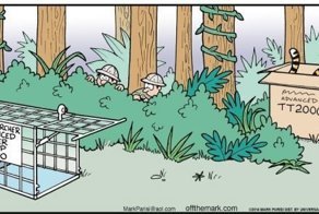 Очередная порция картинок с подписями