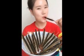 Азиатка задорно и без брезгливости поедает экзотических гадов