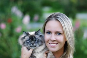 Самый сердитый котя в мире ненавидит всё и всех