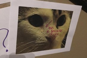 Смекалистая девочка пыталась уговорить папу на кошку очень необычным способом