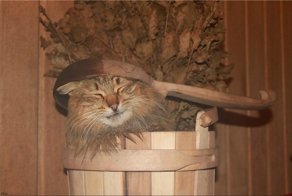 Баня. По рассказам деда Савелия