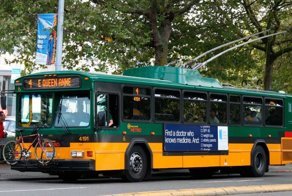 Что не могут сделать в США