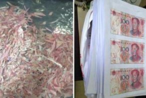 Китайская пара три месяца склеивала 21 тысячу долларов, порезанную параноидальным отцом