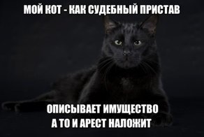 Картинки с надписями для настроения