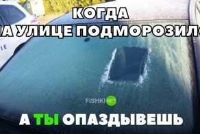 Подборка автомобильных приколов