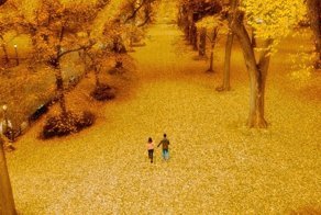 Фотограф-самоучка снимает Нью-Йорк с такого ракурса, что от его снимков голова кругом идет