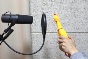 Резиновая кричащая курица спела композицию Камилы Кабельо «Havana»