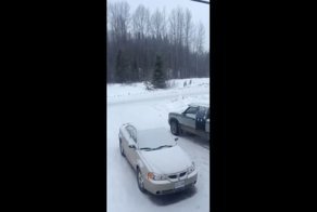 Жуткий вой неизвестного животного в Канаде