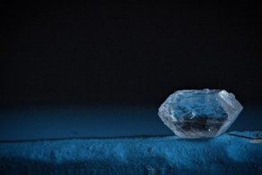 13 макрофото, на которых все не то, чем кажется