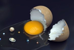 Рассказ Энди Веира "Яйцо"